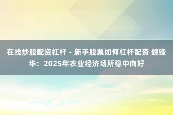 在线炒股配资杠杆 - 新手股票如何杠杆配资 魏锋华：2025年农业经济场所稳中向好